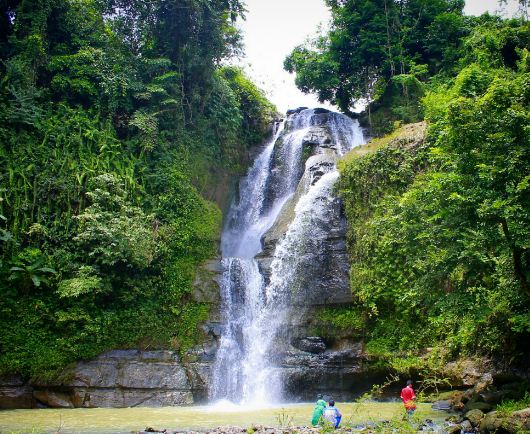 Gubug Satwa Kroya: Jantung Hiburan di Tengah Cilacap